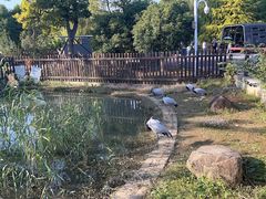 -苏州上方山国家森林公园