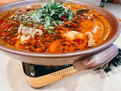 -杨氏青龙虾·羊蝎子(珠江路店)