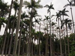 -南宁南湖公园