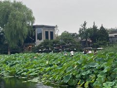 -什刹海