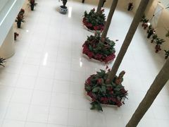 -中国人民解放军总医院(301医院)