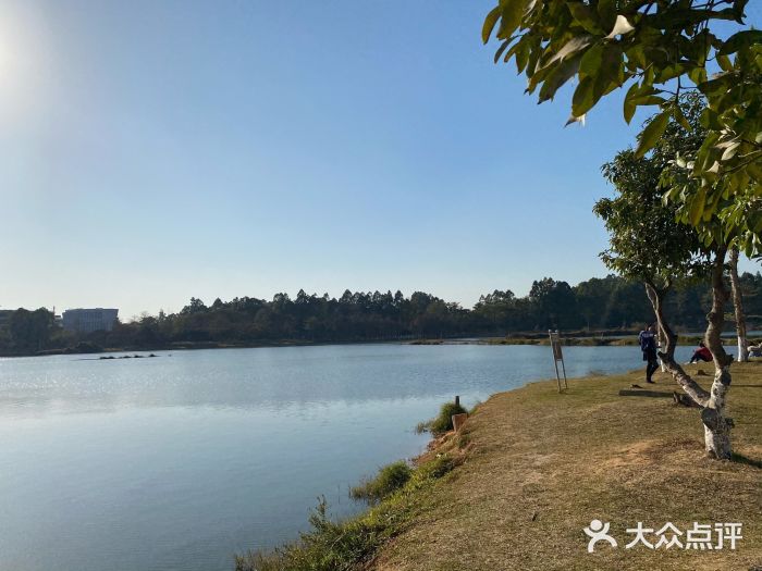 松山湖南湖湾露营营地图片