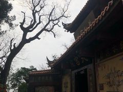 -金堂县云顶石城风景区