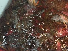 -御京阁·羊蝎子火锅·龙虾·烧烤(合庆店)
