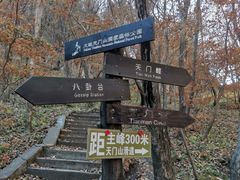 -大连天门山国家森林公园
