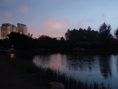 -群力丁香公园