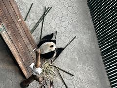 -沈阳森林动物园
