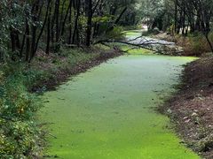 -长白岛森林公园