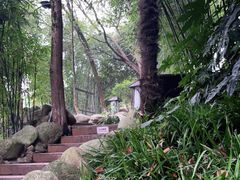 -三江森林温泉度假区