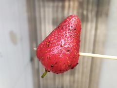 -雪儿钱局泡菜