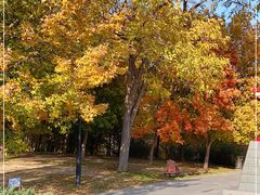 -大望京公园