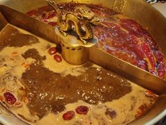 -小龙翻大江文化火锅(宽窄店)