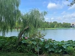 -上海怡沁园度假酒店