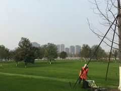 -昆山城市生态森林公园