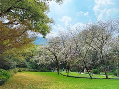 -中国茶叶博物馆(双峰馆区)