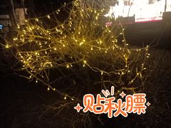 -党河风情线国家水利风景区