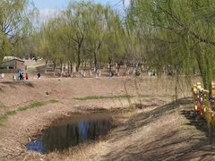 -莫子山公园
