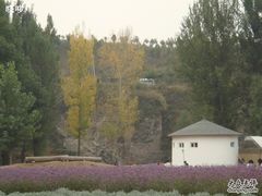 -紫海香堤香草艺术庄园