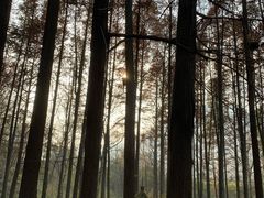 -波尔登森林公园