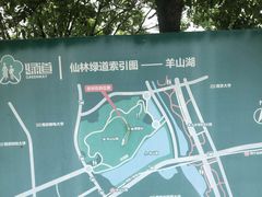 -羊山湖公园