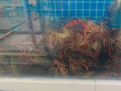 -小于烧烤海鲜·皖南明档土菜(丰庄店)