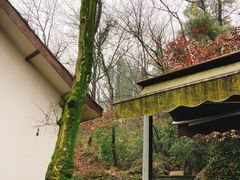 -龙井壹号·茶缘山景宴(龙井村店)
