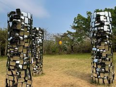 -天适樱花悠乐园