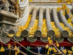 -承恩寺