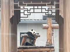 -无锡动物园·太湖欢乐园