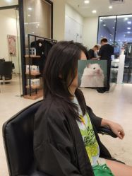 -WM Hair Salon