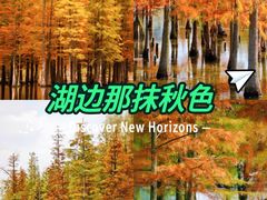 -白鹭湾湿地公园