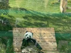 -无锡动物园·太湖欢乐园