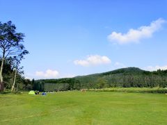 -武陵山森林公园