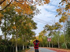 -上海长兴岛郊野公园