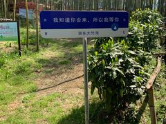 -宁波浙东大竹海景区