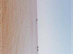 -汤山公园