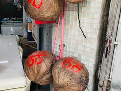 -洪馨椰子