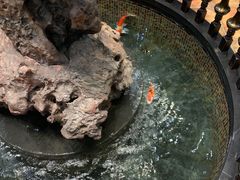 -福禧酒窖·中餐厅 (万柳店)