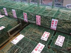-荔城生鲜盛宴(番禺旗舰店)