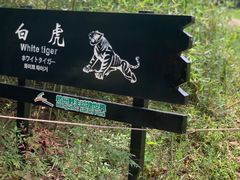 -杭州野生动物世界