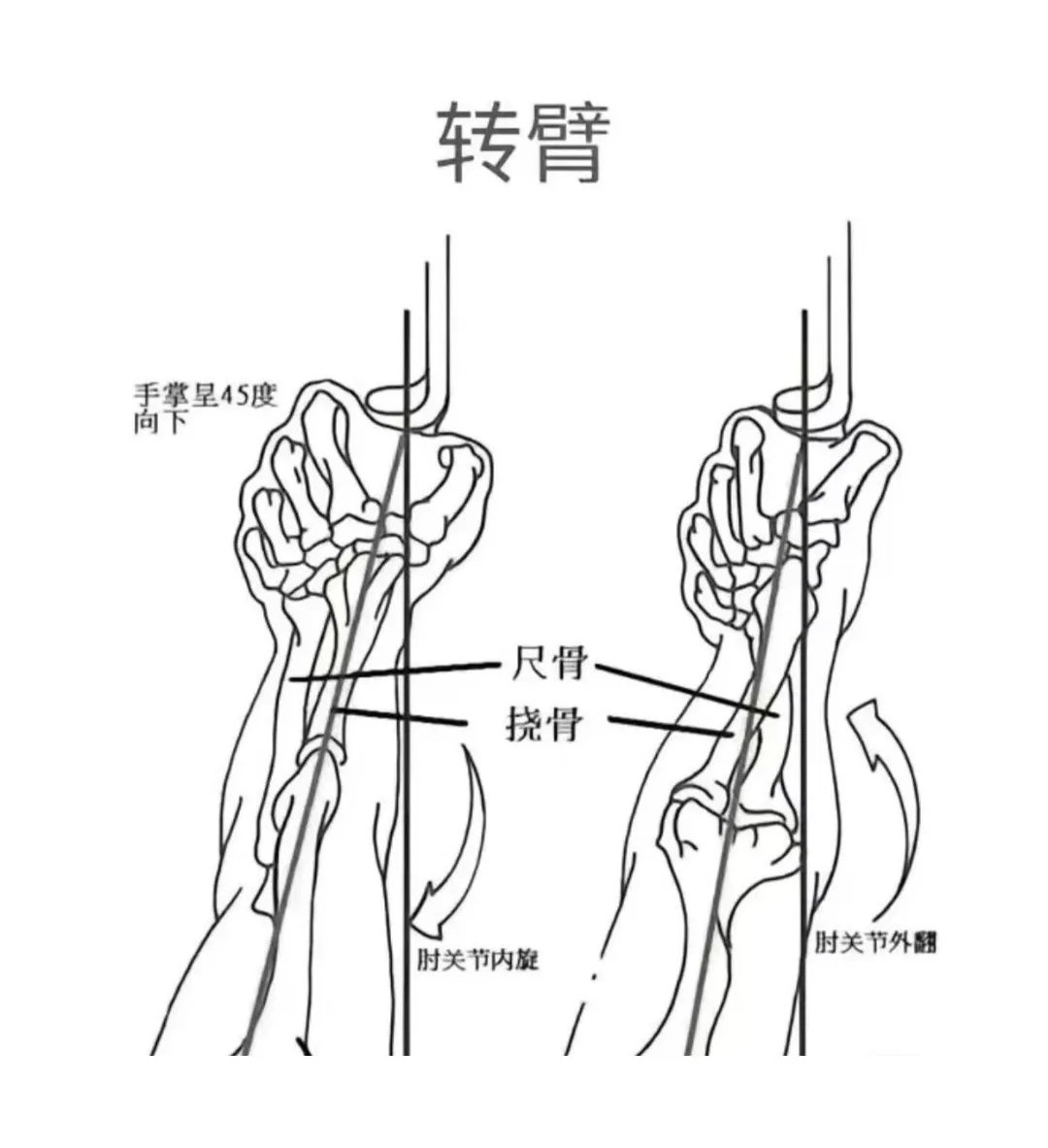 射箭手法图解手指图片