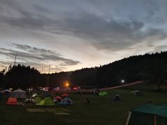 -武陵山森林公园