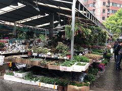 -曲阳花鸟市场(曲阳路店)