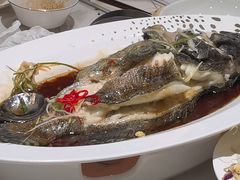 -神洲四海大酒楼(王府井澳门中心店)
