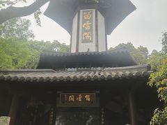 -上海佘山国家森林公园天马山园