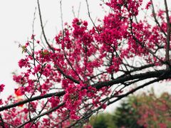 -映月湖公园