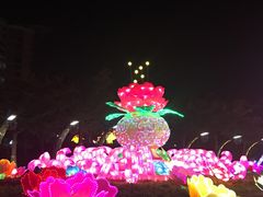 -映月湖公园