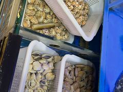 -冯姐生蚝(长隆横琴店)