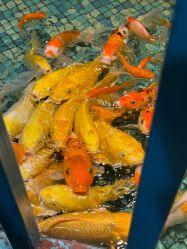 -酷嗒动物文化乐园(cutezoo西溪乐天城店)