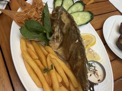 -ELI FALAFEL Lebanese&Mediterranean黎巴嫩美食(富城路店)